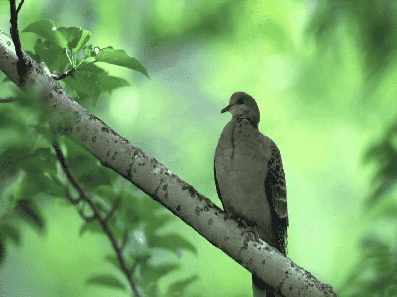 试管包装的香烟泰东方试管加盟湛江久和医院费用好高